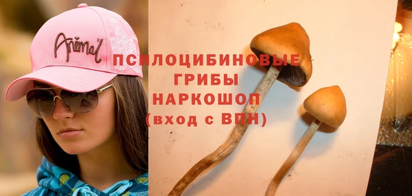 mdpv Верея