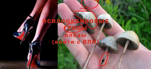 соль ск Верхний Тагил