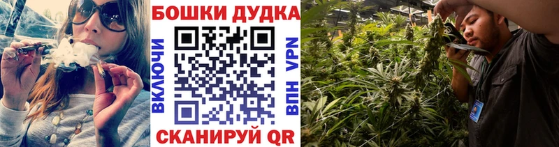 Бошки Шишки марихуана  что такое   Элиста 